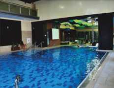 室內(nèi)泳池除濕機(jī) 